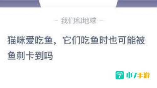 猫咪爱吃鱼蚂蚁庄园