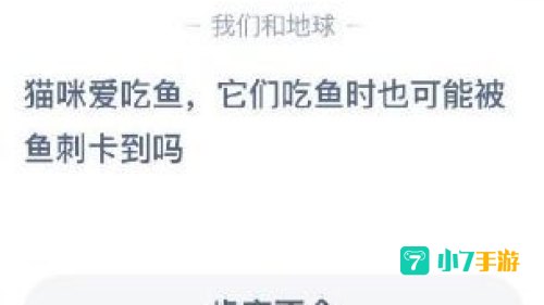 猫咪爱吃鱼蚂蚁庄园