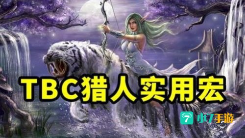 猎人误导宏